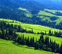 爱游戏官网-取消会议通知怎么写